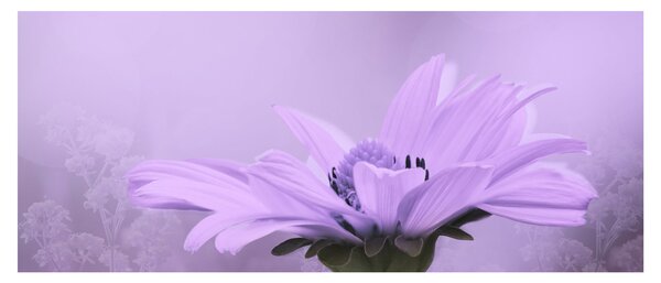 Obraz - Fialový kvet (120x50 cm)