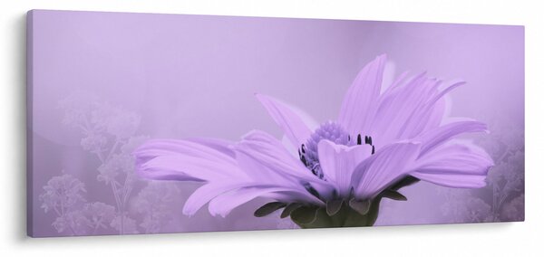 Obraz - Fialový kvet (120x50 cm)