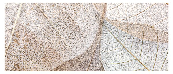 Obraz - Béžové listy (120x50 cm)