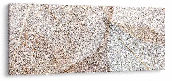 Obraz - Béžové listy (120x50 cm)