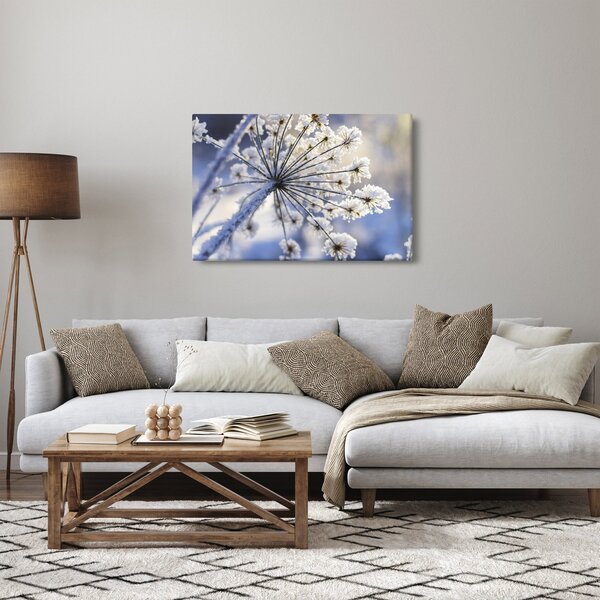Obraz - Zamrznutý kvet (90x60 cm)