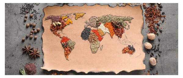 Obraz - Korenie sveta (120x50 cm)