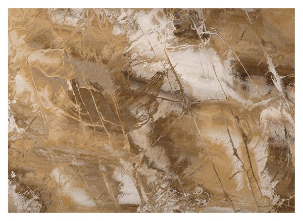 Obraz - Hnedá abstrakcia (70x50 cm)