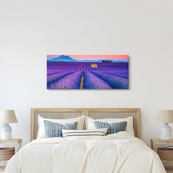 Obraz - Levanduľové pole (120x50 cm)