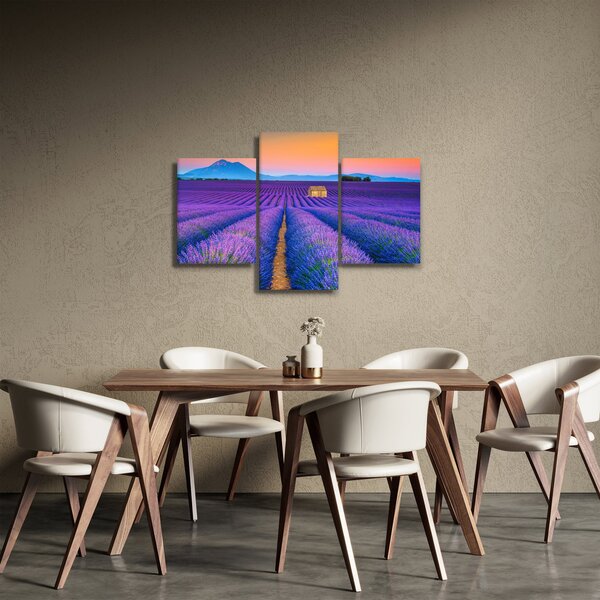 Obraz - Levanduľové pole (90x60 cm)
