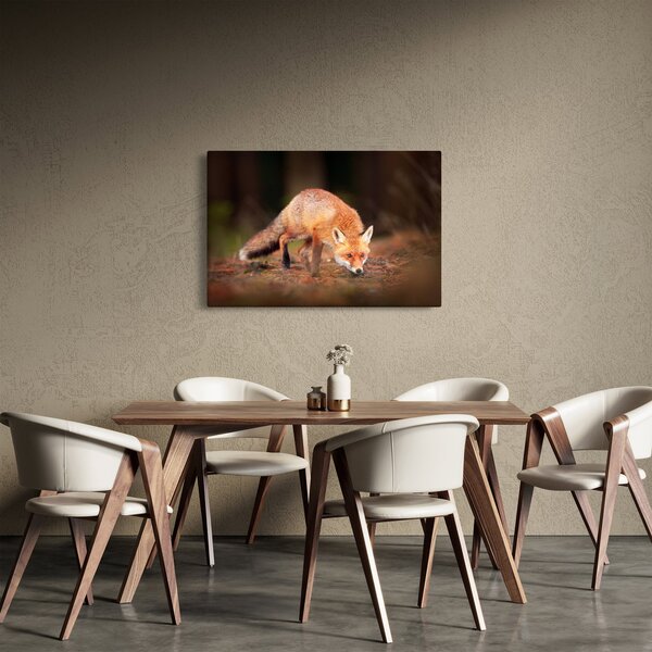 Obraz - Lišiak v lese (90x60 cm)