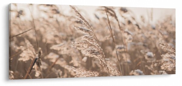 Obraz - Lúčny vánok (120x50 cm)