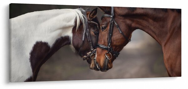 Obraz - Zamilované kone (120x50 cm)