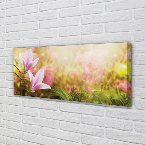 Obraz canvas Magnólia strom slnko 140x70 cm