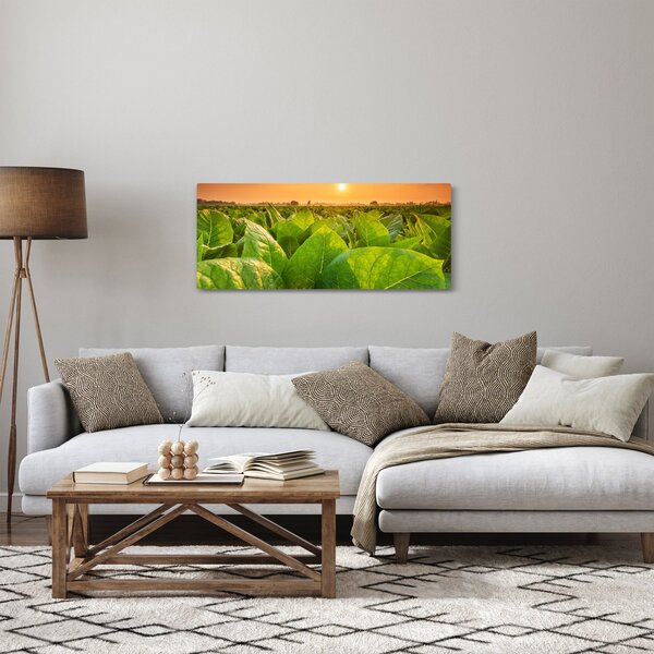 Obraz - Pole (120x50 cm)