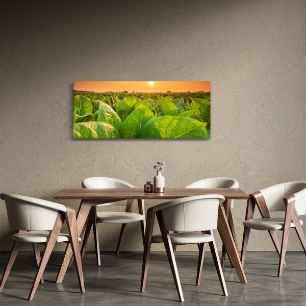 Obraz - Pole (120x50 cm)