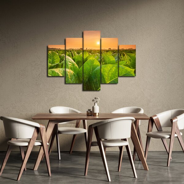 Obraz - Pole (150x105 cm)