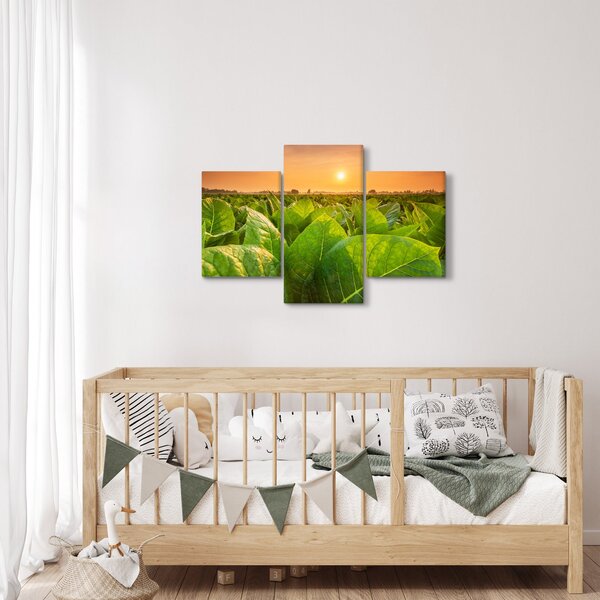 Obraz - Pole (90x60 cm)