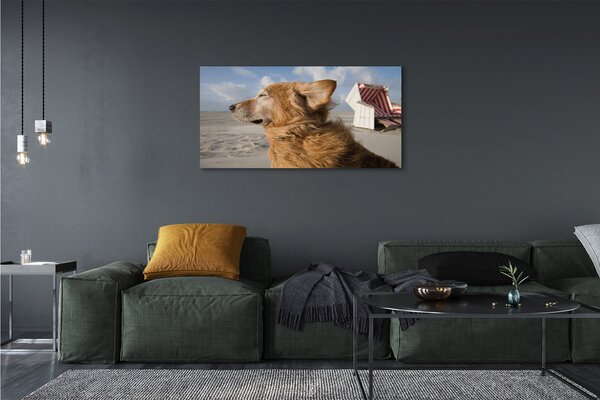 Obraz na plátne Hnedý pes beach 125x50 cm