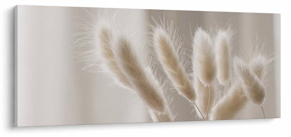 Obraz - Zajačie chvostíky (120x50 cm)