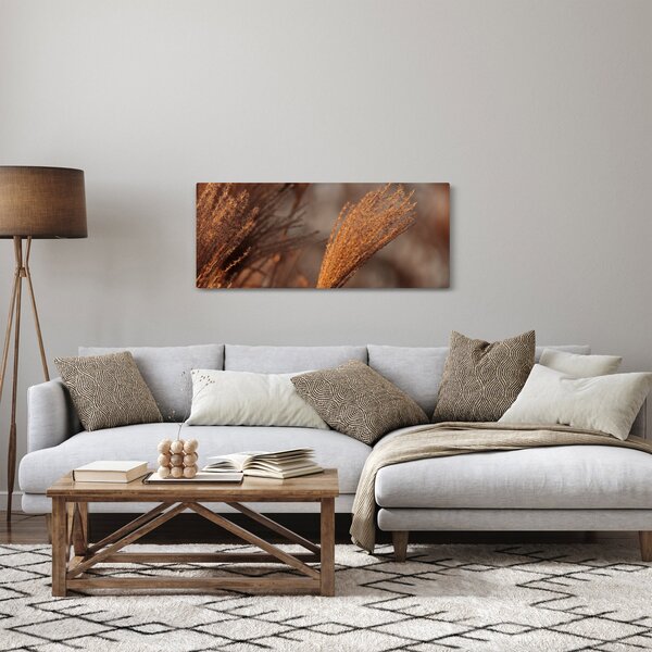 Obraz - Kortadéria (120x50 cm)