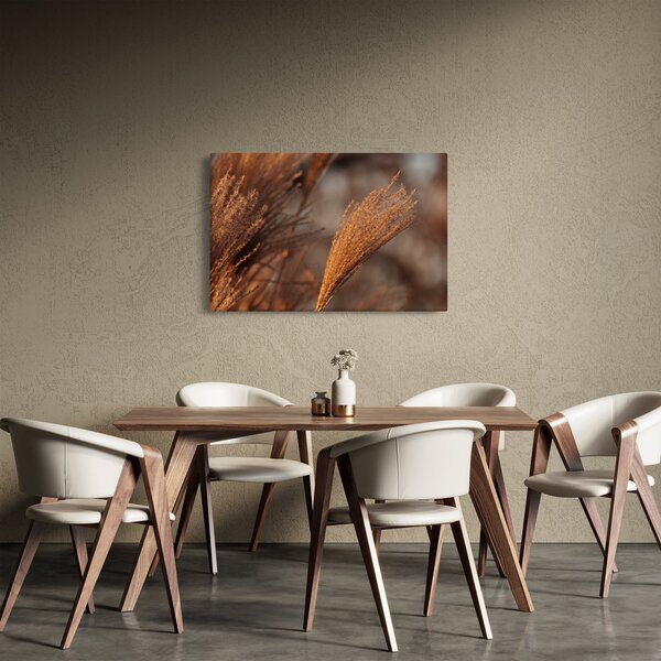 Obraz - Kortadéria (90x60 cm)
