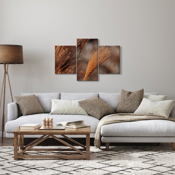 Obraz - Kortadéria (90x60 cm)