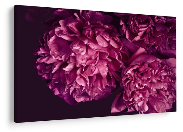 Obraz - Kytica pivoniek (90x60 cm)