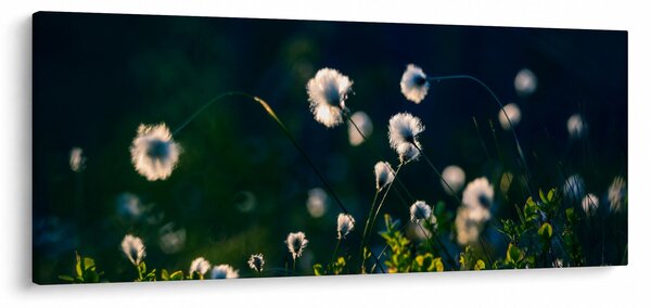 Obraz - Tráva (120x50 cm)