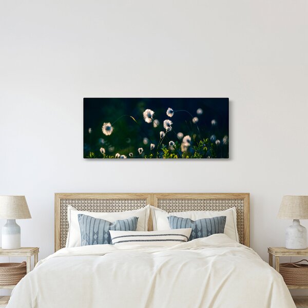 Obraz - Tráva (120x50 cm)