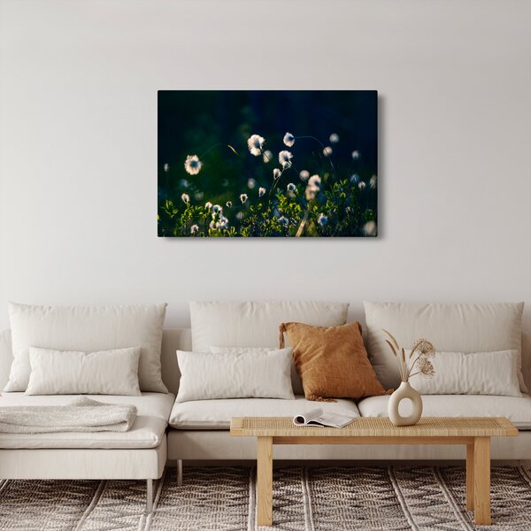 Obraz - Tráva (90x60 cm)