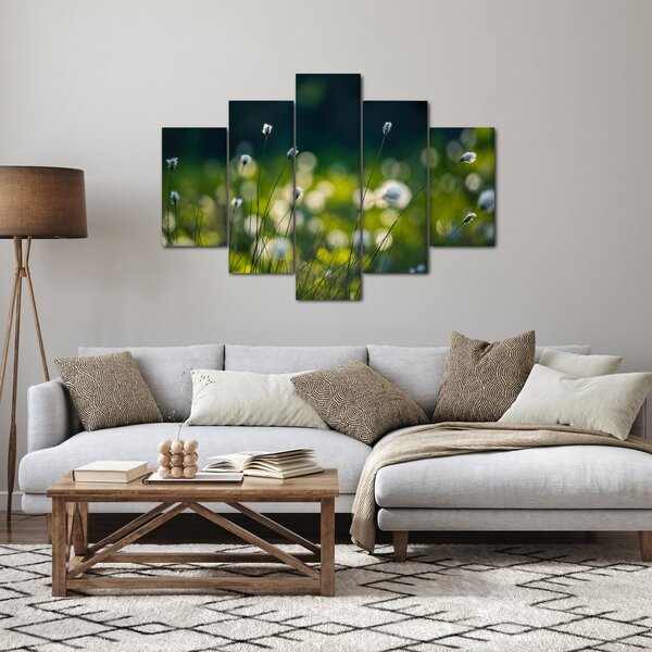 Obraz - Tráva (150x105 cm)