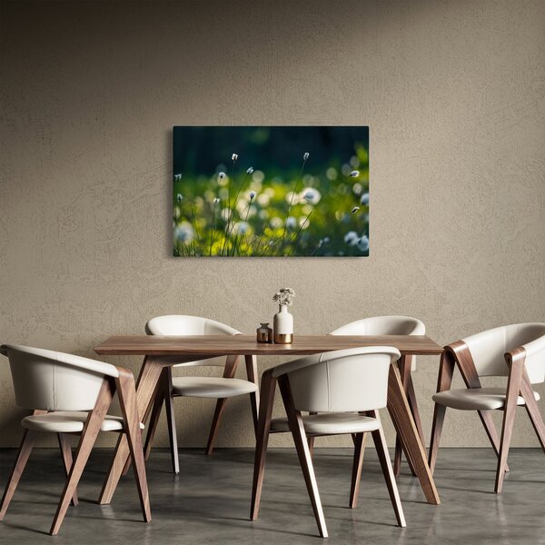 Obraz - Tráva (90x60 cm)