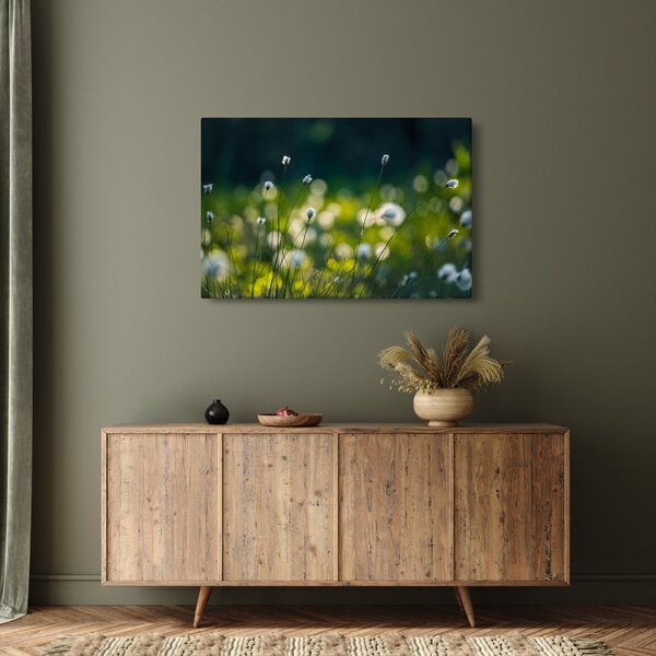 Obraz - Tráva (90x60 cm)
