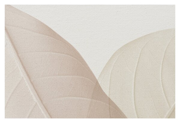 Obraz - Texturované listy (90x60 cm)