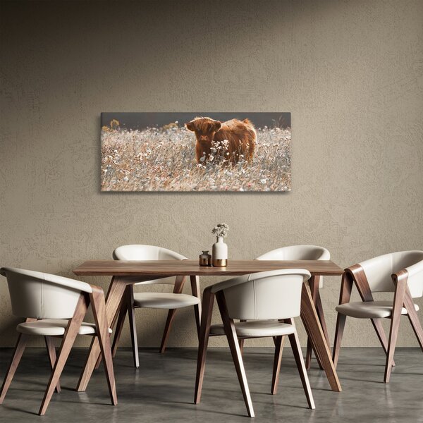 Obraz - Škótska krava v kvete (120x50 cm)