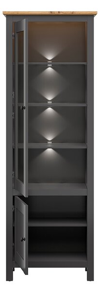 NovýNábytok.sk Vitrína BRW Hesen REG1W1D/20/7 (s LED osvetlením) (grafit + dub artisan). Vlastná spoľahlivá doprava až k Vám domov. 1062517