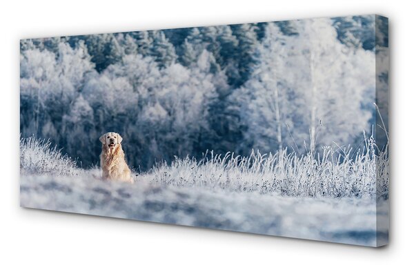 Obraz na plátne Zime salašnícky pes 125x50 cm