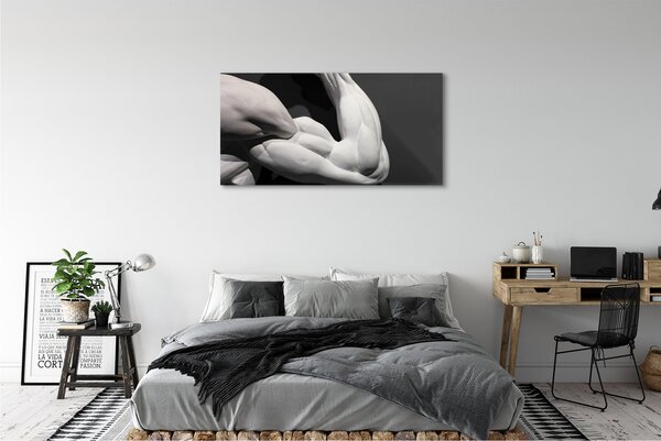 Obraz canvas Sval black and white 125x50 cm