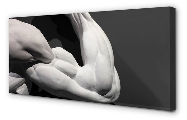 Obraz canvas Sval black and white 125x50 cm