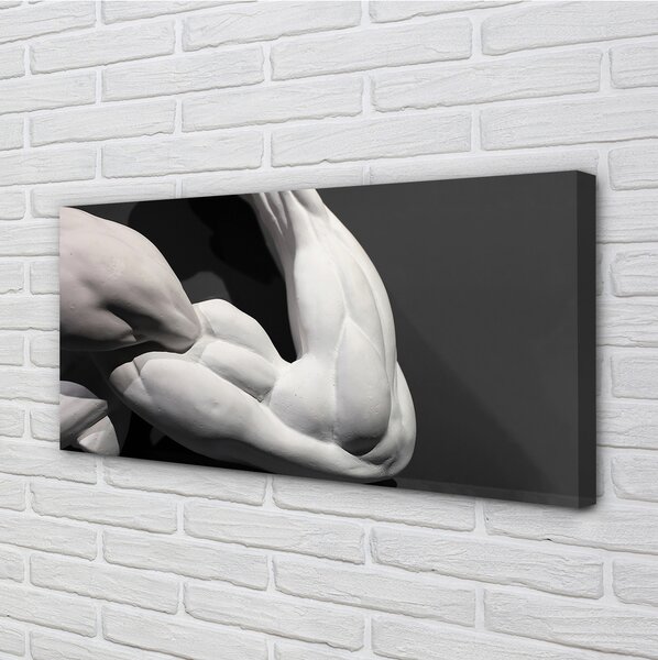 Obraz canvas Sval black and white 125x50 cm