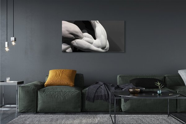 Obraz canvas Sval black and white 125x50 cm