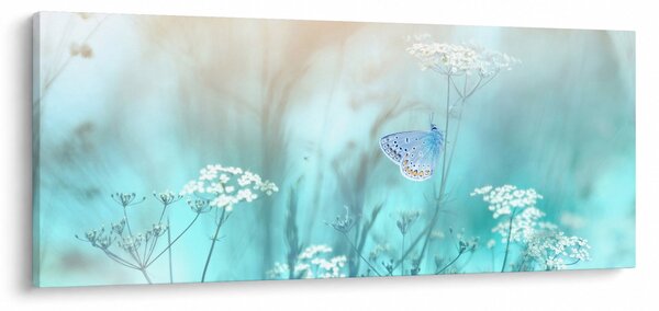 Obraz - Motýlik v modrom (120x50 cm)