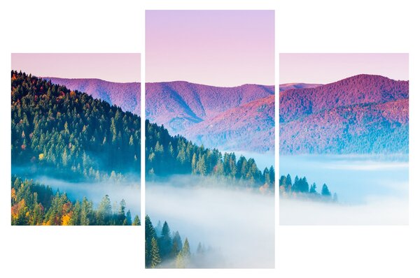 Obraz - Panorama 2 (90x60 cm)