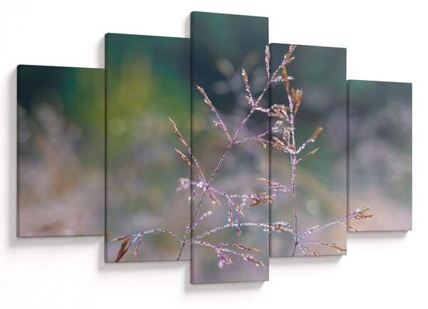 Obraz - Detail traviny (150x105 cm)
