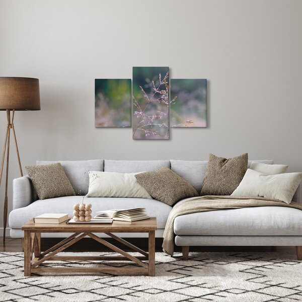Obraz - Detail traviny (90x60 cm)