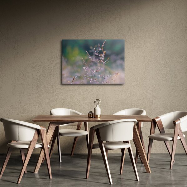 Obraz - Detail traviny (70x50 cm)