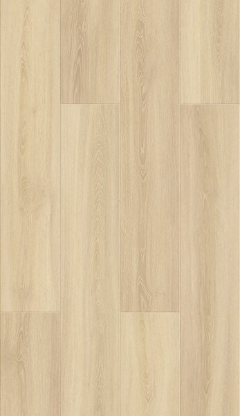 KPP Smart Dub Ilona 20016