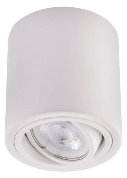 Ledvance - Bodové svietidlo TUBA 1xGU10/50W/230V