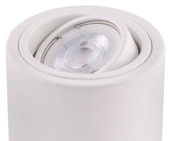Ledvance - Bodové svietidlo TUBA 1xGU10/50W/230V