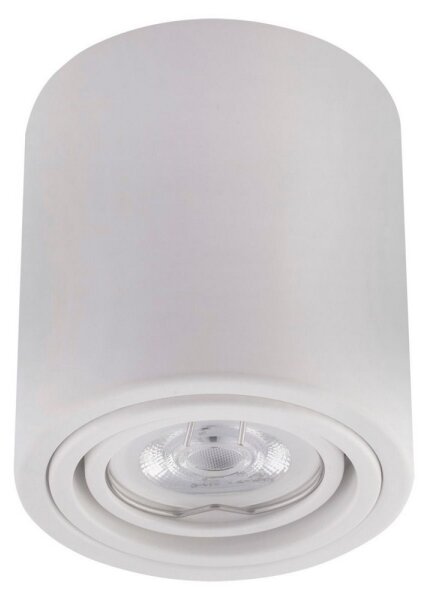 Ledvance - Bodové svietidlo TUBA 1xGU10/50W/230V