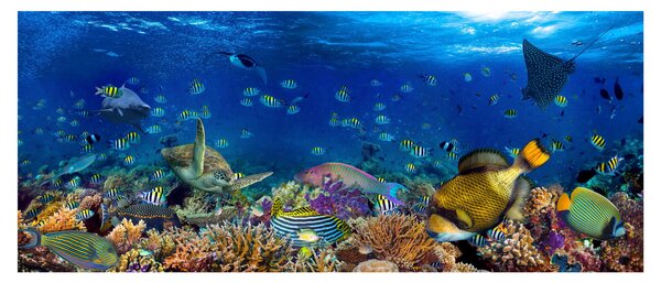 Obraz - Oceán (120x50 cm)