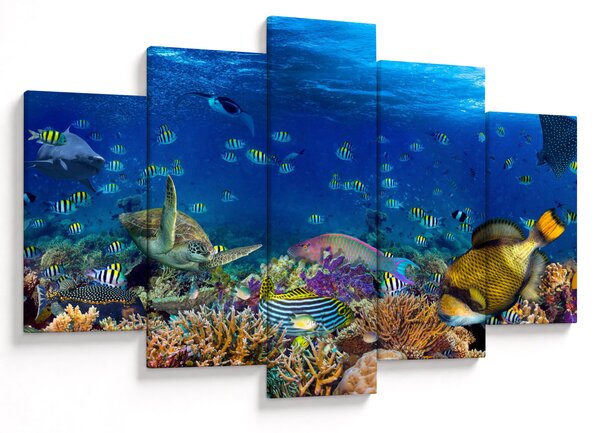 Obraz - Oceán (150x105 cm)