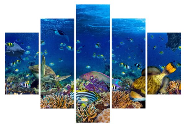 Obraz - Oceán (150x105 cm)