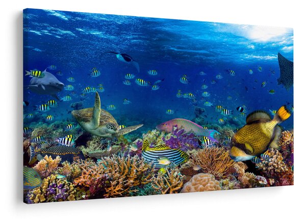 Obraz - Oceán (90x60 cm)